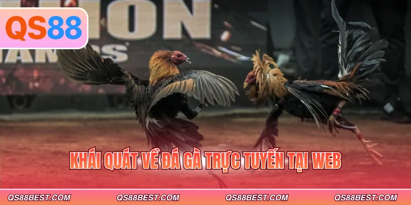 Khái quát về đá gà trực tuyến tại web
